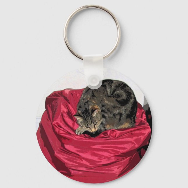 Porte-clés Lave-linge Indigo CB (Recto)