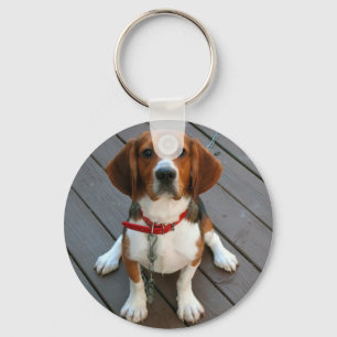 Porte-clés Le chien de beagle le plus mignon jamais