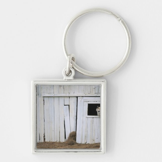 Porte-clés Le collage de cheval dirigent la fenêtre de grange (Devant)