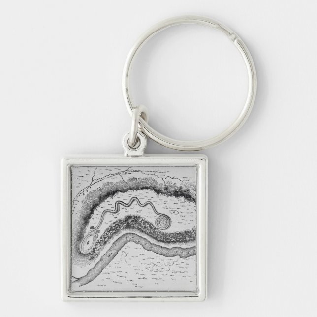 Porte-clés Le grand monticule de serpent (Devant)