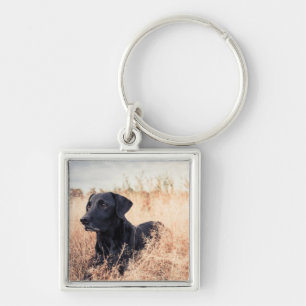 Porte-clés Le Labrador Noir En Graine Sèche