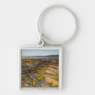Porte-clés Le lever du soleil éclaire les dunes de sable et l