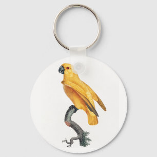 Porte-clés Le perroquet du Sénégal