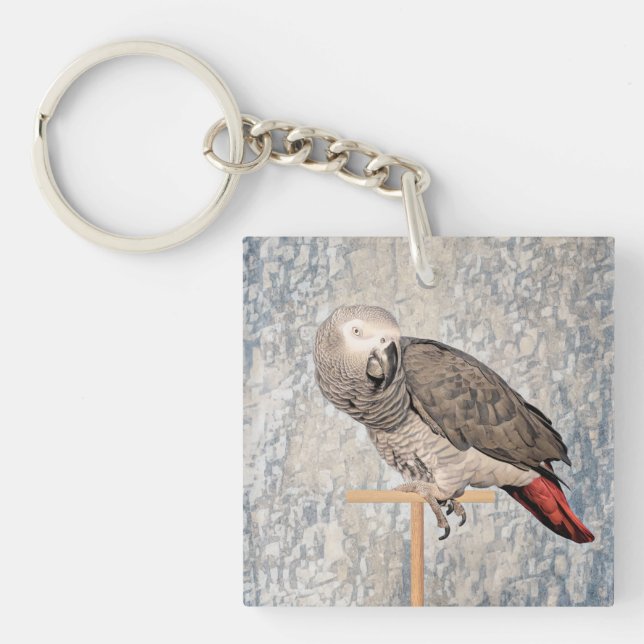 Porte-clés Le perroquet gris africain sur un porte - clé (Devant)