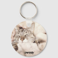 le plus adorable petit chat