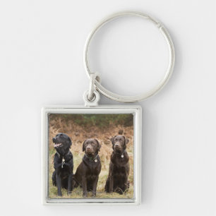 Porte-clés Le R-U, Angleterre, Suffolk, forêt de Thetford,