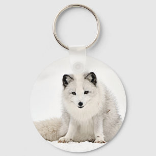 Porte-clés Le renard arctique dans la neige