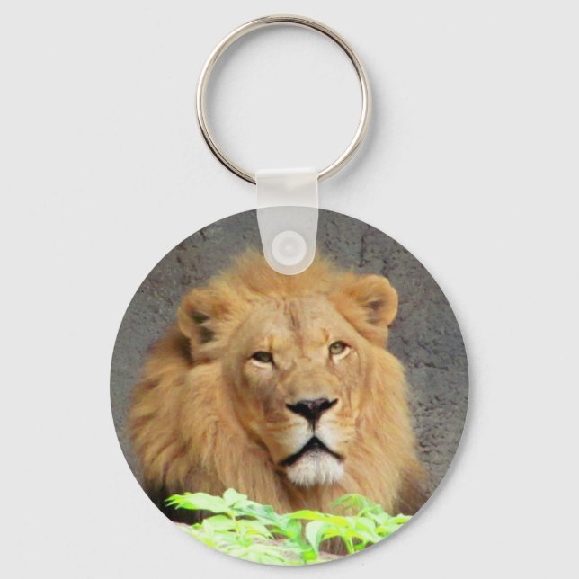 Porte-clés Le roi Lion Mane Homme de la Fierté (Recto)