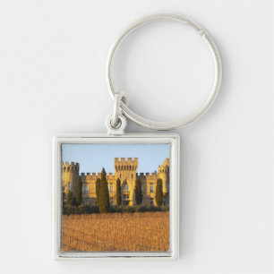 Porte-clés Le vignoble avec les vignes de syrah et le château