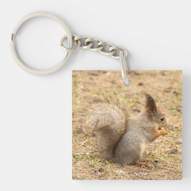 Porte-clés L'écureuil mignon mange une photo de noix (Devant)