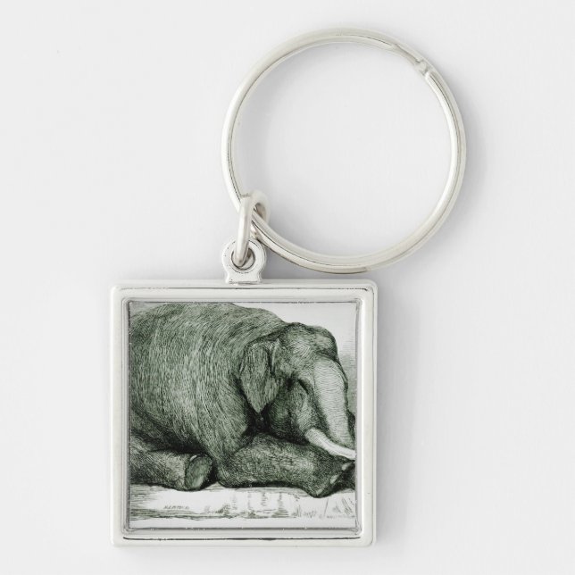 Porte-clés L'éléphant mort (Devant)