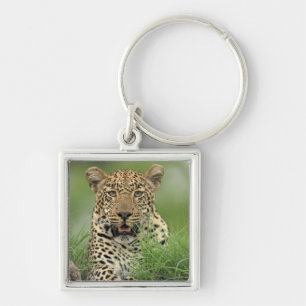 Porte-clés Léopard, pardus de Panthera, jeu de Sabi Sabi