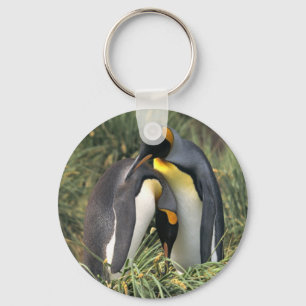 Porte-clés Les amoureux des pingouins