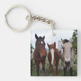 Porte-clés Les Cheveux Frissés, Quatre Pals De Cheval,