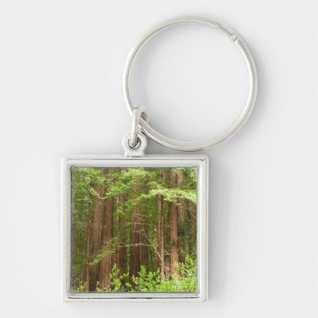 Porte-clés Les séquoias au monument national de Muir Woods (Devant)