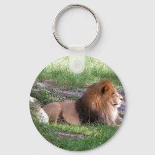 Porte-clés lion