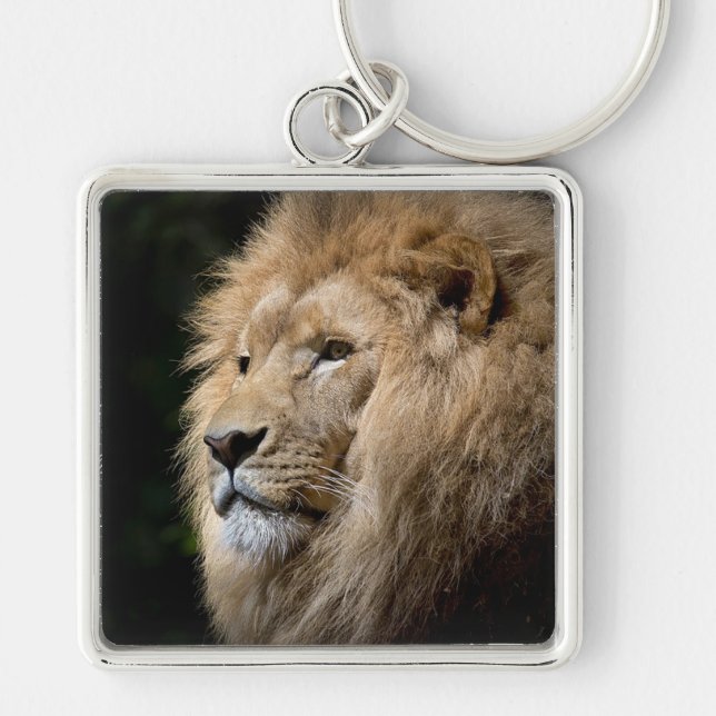 Porte-clés Lion (Devant)