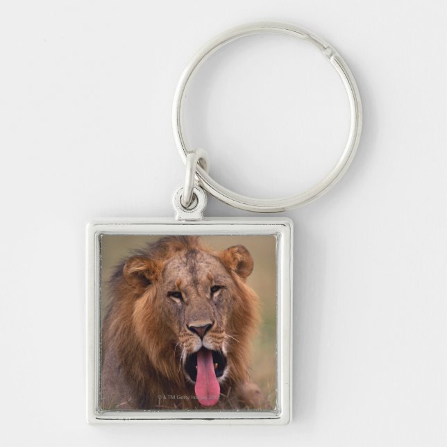 Porte-clés Lion 2 (Devant)