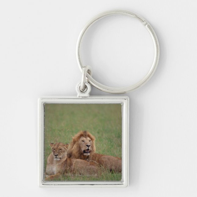 Porte-clés Lion 2 (Devant)
