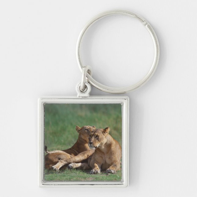 Porte-clés Lion 5 (Devant)