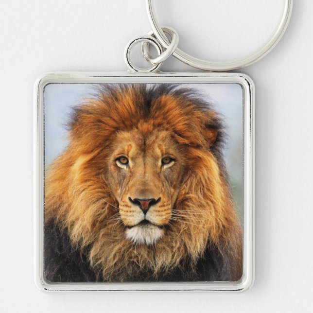 Porte-clés Lion d'Afrique 1 (Devant)