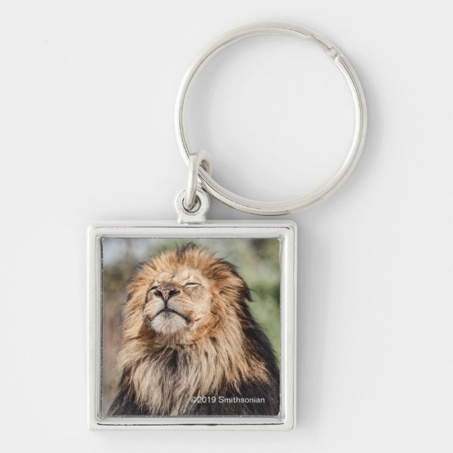 Porte-clés Lion mâle bronzage (Devant)
