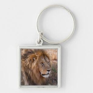 Porte-clés Lion Réserve nationale de Maasai Mara, Kenya