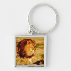 Porte-clés Lion solitaire