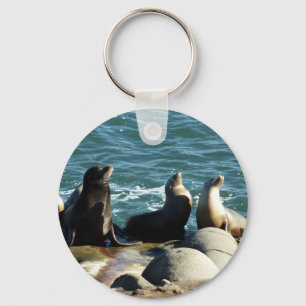Porte-clés Lions de la mer de San Diego