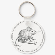 Little Pencil Mouse