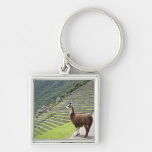 Porte-clés llama peru