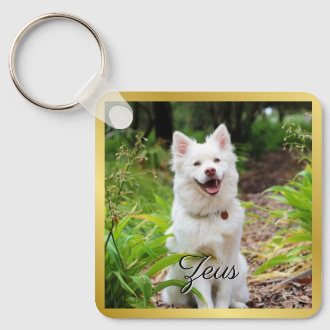 Porte-clés Llavero mascota personalizado (Recto)