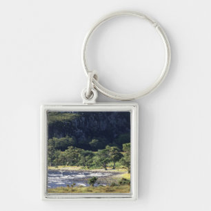 Porte-clés Loch écossais