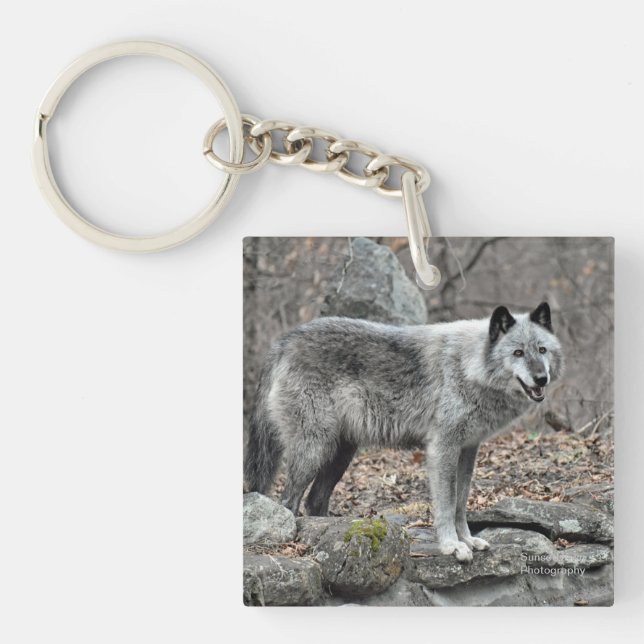 Porte-clés Loup gris (Devant)