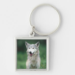 Porte-clés Loup gris