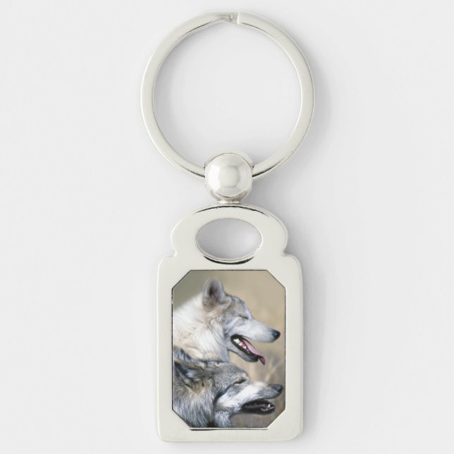 Porte-clés Loups gris (Devant)