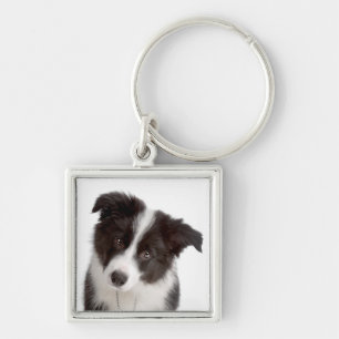 Porte-clés Love Border Collie Puppy Dog Porte - clé