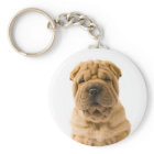 Love Chinois Shar Pei Chien Chien Chien Porte - cl