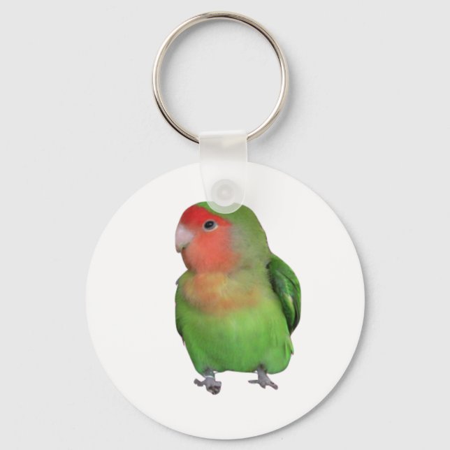 Porte-clés Lovebird à tête brune (Recto)