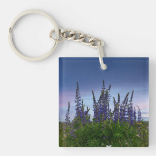 Porte-clés Lupins  