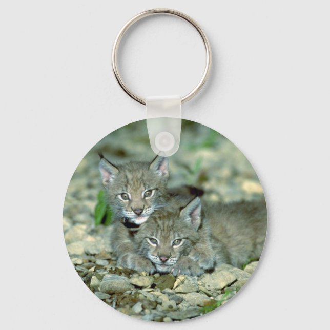 Porte-clés lynx eurasien, jeunes chonnes jouant (Recto)