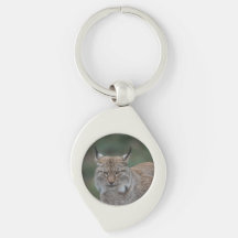 Lynx Vous Regardant Classique