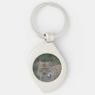 Porte-clés Lynx Vous Regardant Classique