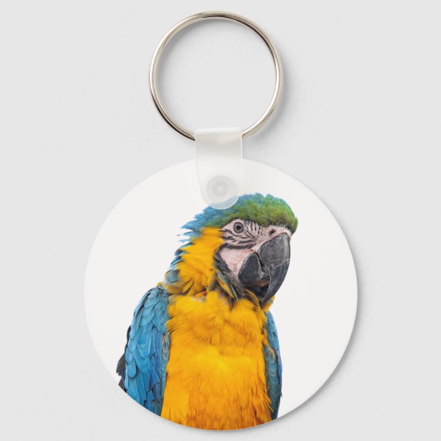 Porte-clés Macaw bleu et or (Recto)