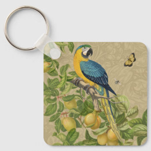 Porte-clés Macaw Blue Jaune Tropical Jungle Antique