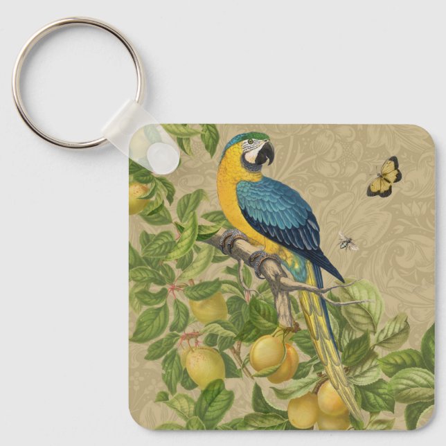 Porte-clés Macaw Blue Jaune Tropical Jungle Antique (Recto)