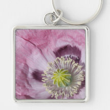 macro photo fleur de passion violet -