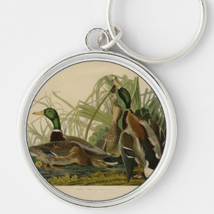 Porte-clés Mallard Duck Audubon Bird Painting