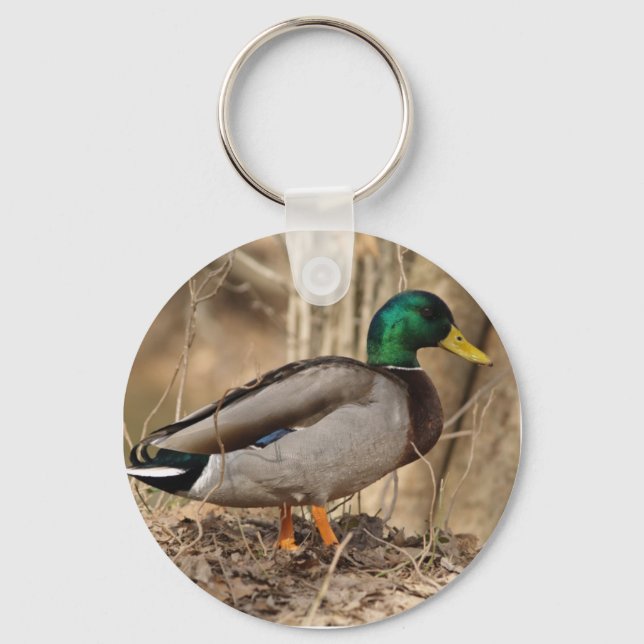 PORTE-CLÉS MALLARD DUCK PORTE - CLÉ (Recto)