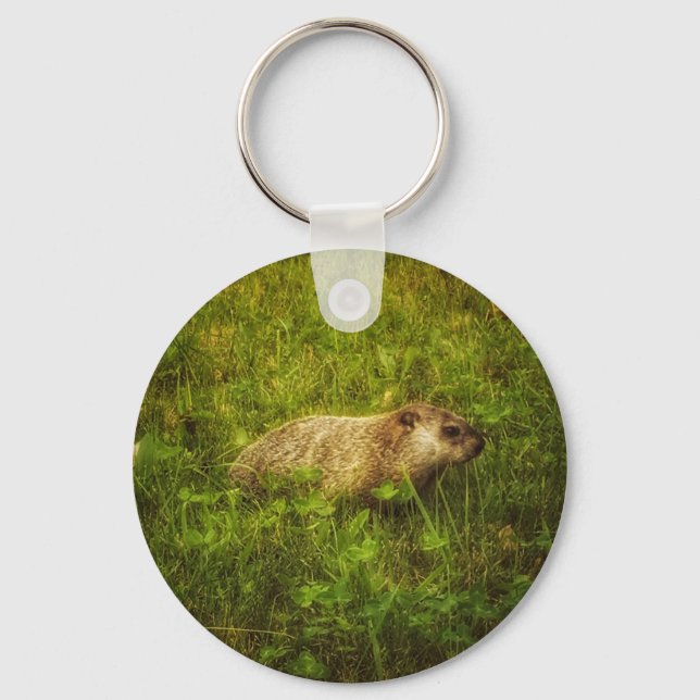 Porte-clés Marmotte dans un porte - clé de champ (Recto)